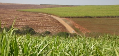 Raízen prioriza inovação para a transformação agrícola digital