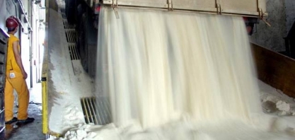 Açúcar é destaque das exportações do agronegócio em novembro