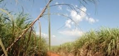 ANP realiza RenovaBio Itinerante no Nordeste