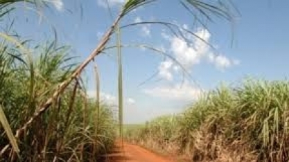 ANP realiza RenovaBio Itinerante no Nordeste