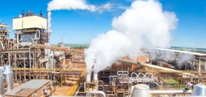 Etanol: hidratado recua 1,94% e anidro cai 2,08% nas usinas 