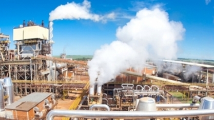 Etanol: hidratado recua 1,94% e anidro cai 2,08% nas usinas 