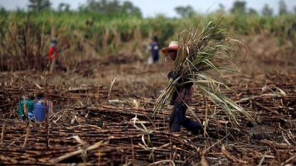 Produtores da Tailândia trocam açúcar pela mandioca