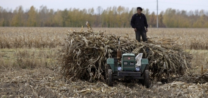 China quer transformar lixo agrícola em biocombustível