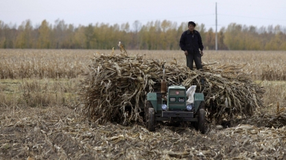 China quer transformar lixo agrícola em biocombustível