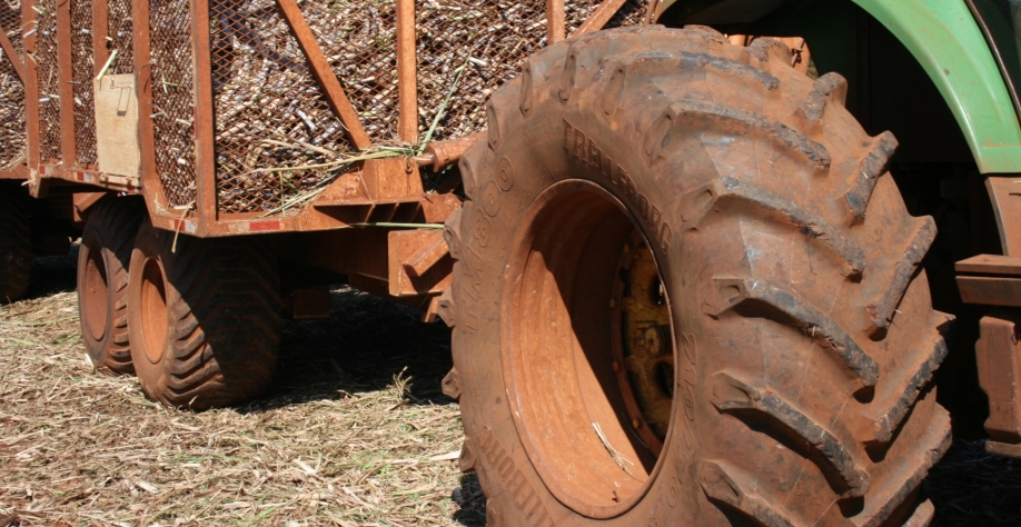 Uma das recomendações é que todos os equipamentos tenham suas bitolas ajustadas ao espaçamento utilizado para não pisar nas linhas.  Foto: Leonardo Ruiz