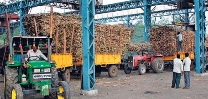 Índia tende a produzir recorde de 33 mi t de açúcar em 2018/19, diz Isma 