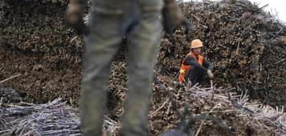 Seca afeta produção de açúcar na província chinesa de Yunnan, diz Agência Xinhua