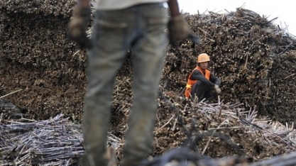 Seca afeta produção de açúcar na província chinesa de Yunnan, diz Agência Xinhua