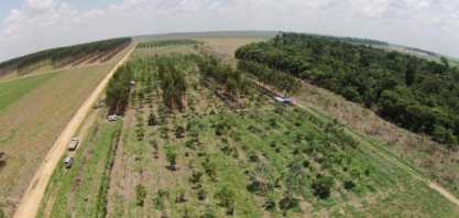 Agronegócio não apoia fim da obrigatoriedade da reserva legal