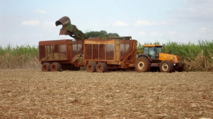 Doria anuncia criação de 11 polos de desenvolvimento econômico no estado 