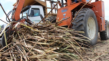 Máquinas deverão colher 20% da cana em Alagoas no ciclo 19/20