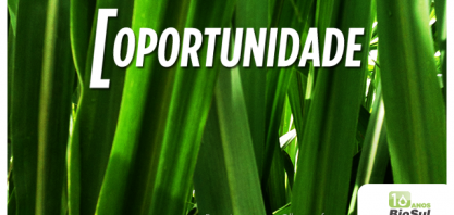 Adecoagro abre inscrições para seleção no Programa Líder Trainee 2019