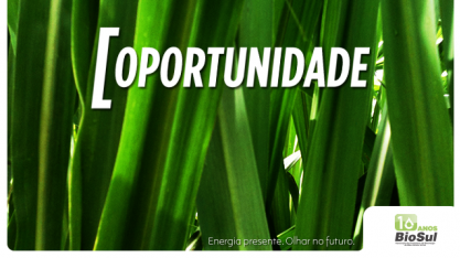 Adecoagro abre inscrições para seleção no Programa Líder Trainee 2019