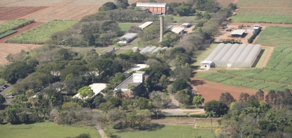 CTC celebra 50 anos de pioneirismo na pesquisa da cana-de-açúcar