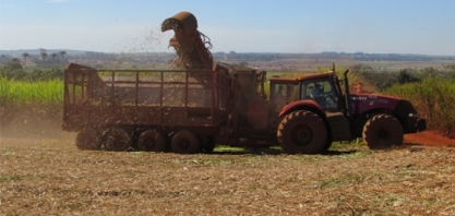 Boletim de monitoramento da cana | INBR/CNPEM