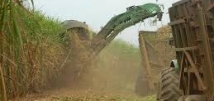 Governo do Estado de São Paulo e Setor Sucroenergético realizam o 1º Seminário Regional do Etanol Mais Verde