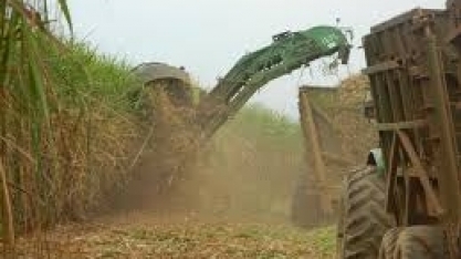 Governo do Estado de São Paulo e Setor Sucroenergético realizam o 1º Seminário Regional do Etanol Mais Verde