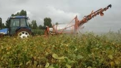 Diário Oficial traz registro de 42 defensivos agrícolas; objetivo é aumentar concorrência e baratear custo dos produtos
