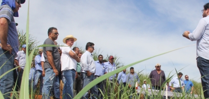 Produtores de Piracicaba participam hoje de Dia de Campo voltado ao controle de plantas daninhas na época úmida