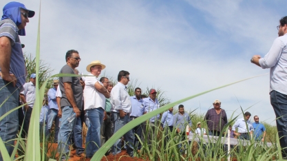 Produtores de Piracicaba participam hoje de Dia de Campo voltado ao controle de plantas daninhas na época úmida