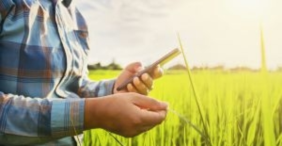 Evento em Piracicaba integra programação de aceleradora de startups do agro. Divulgação