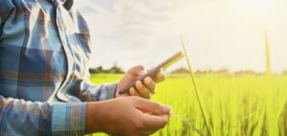 Tereos: Brasil sedia 1º AgTech French Brazilian Club