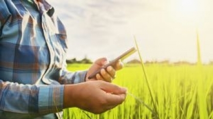 Tereos: Brasil sedia 1º AgTech French Brazilian Club