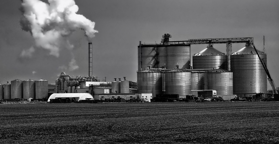 Para isto, estão previstos dois investimentos grandes no Estado: da usina São Martinho, de R$ 350 milhões em Quirinópolis, e da VMG Bioenergia e Agronegócio, de R$ 550 milhões em Jataí