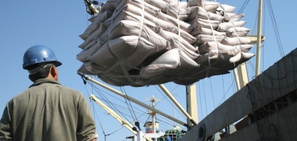 Rabobank mantém previsão de déficit de 4,2 mi de t na safra global de açúcar