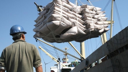 Rabobank mantém previsão de déficit de 4,2 mi de t na safra global de açúcar