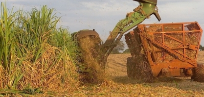 Acordo Mercosul-UE favorece agro, mas afeta até setores como genéricos 