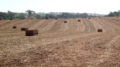 BBEST 2020 será lançado oficialmente nesta quinta-feira em reunião na Fapesp