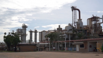 Diana Bioenergia disponibiliza Relatório da Administração Safra 2018/2019 