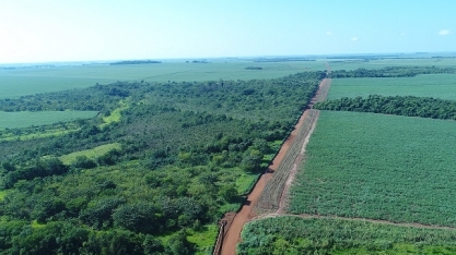 Cuidar do meio ambiente, cuidar do futuro