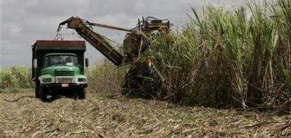 Cuba tem produção de açúcar entre as menores em 120 anos