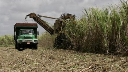 Cuba tem produção de açúcar entre as menores em 120 anos