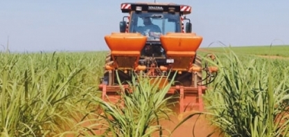 Quebra-lombo reduz quantidade de impureza mineral e melhora corte de base