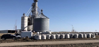 Copersucar vê aumento de 50% na demanda por etanol dos EUA com nova política