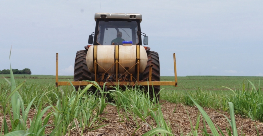 Em estudos de campo com a utilização do Programa LongeVita, observou-se um aumento de produtividade de cinco a dez t/ha quando comparado à fertilização convencional. Foto: Arquivo CanaOnline
