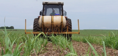 Programa nutricional melhora o desenvolvimento vegetal, forma canaviais mais uniformes e vigorosos e mantém a cana produtiva por mais cortes