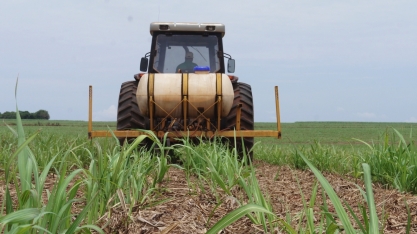 Programa nutricional melhora o desenvolvimento vegetal, forma canaviais mais uniformes e vigorosos e mantém a cana produtiva por mais cortes