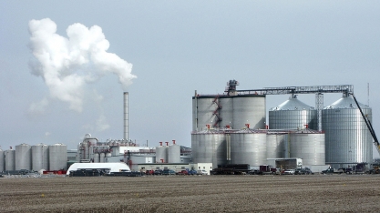 Produtores de etanol dos EUA avaliam compras de milho brasileiro