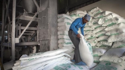 Açúcar/Índia: estoques elevados pressionam cotações internacionais 