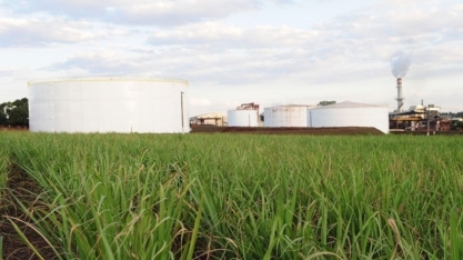 Etanol hidratado recua 0,43% e anidro cai 1,10% nas usinas de SP