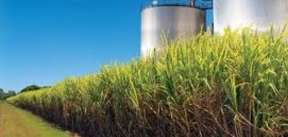 Etanol recua em 20 Estados e no DF; preço médio cai 1,16% no País