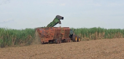 Produtores da região noroeste paulista estão otimistas com a safra da cana deste ano