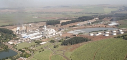 São Martinho estima avanço de 8% no processamento de cana em 2019/20 