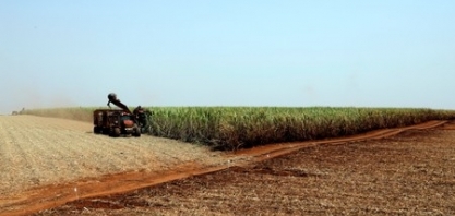 Copersucar registra lucro maior na safra 2018/19; vendas de açúcar recuam