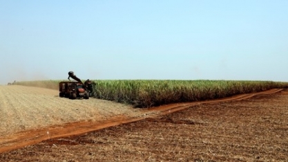 Copersucar registra lucro maior na safra 2018/19; vendas de açúcar recuam